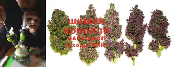 PSILOCYBIN Богородицк